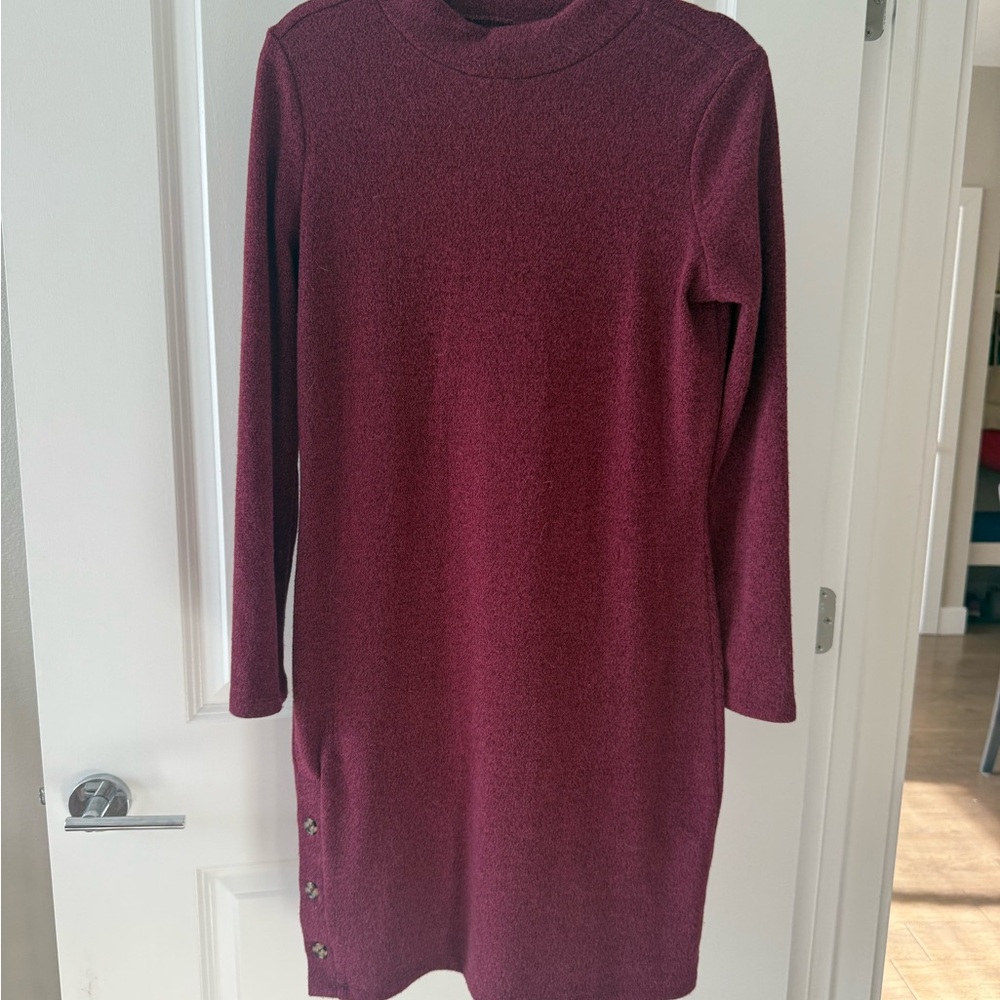 Banana Republic Rich Maroon Long Sleeve Dress